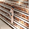 Batterie Broiler Hühnerkäfig für Broiler Hühnerstall